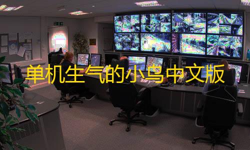 玉兔直装包单机生气的小鸟中文版